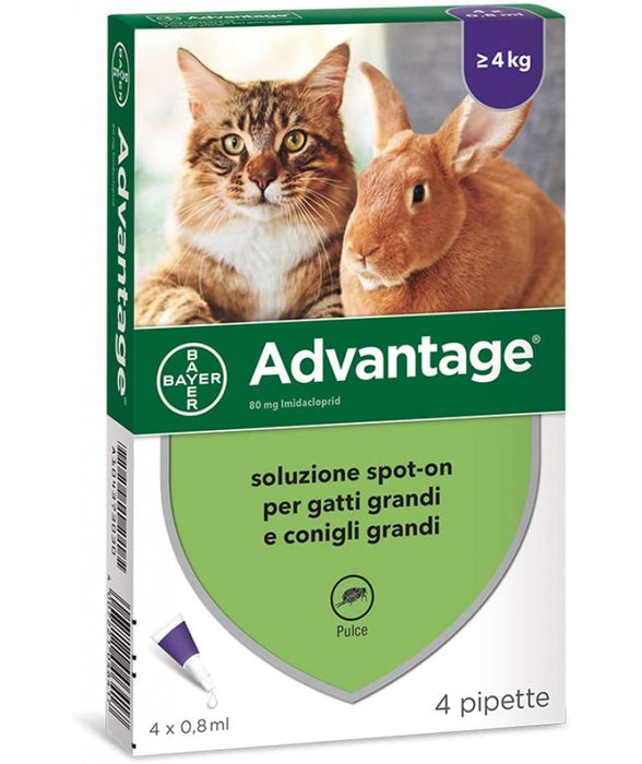 Bayer Advantage Spot On Gatti e Conigli Oltre 4 Kg 4 pipette x 0,8ml