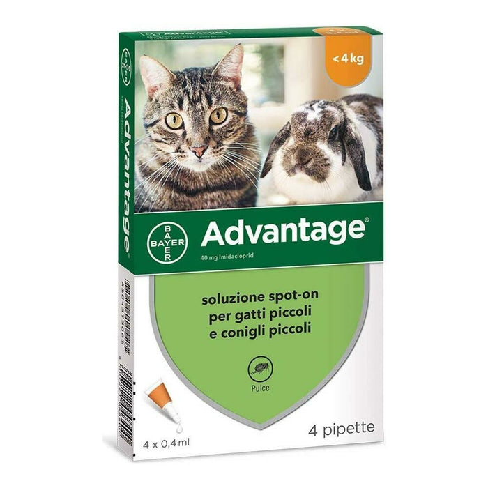 Bayer Advantage Spot On Gatti Fino a 4 kg 4 fiale Da 4 ml