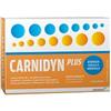 Alfasigma Carnidyn Plus 20 Bustine da 5 g