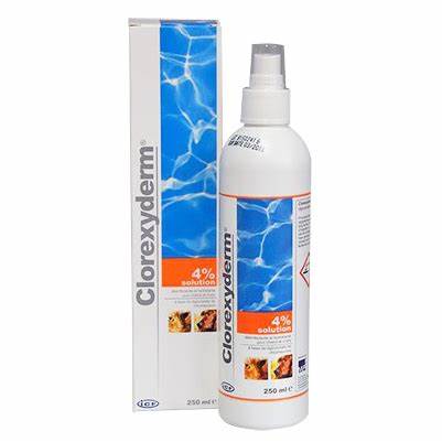 Clorexyderm 4% Soluzione 250 ml
