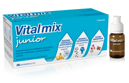 MONTEFARMACO OTC Vitalmix Junior 12 Flaconcini