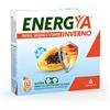 Energya Inverno Papaya Ginseng e Vitamine 14 Stick